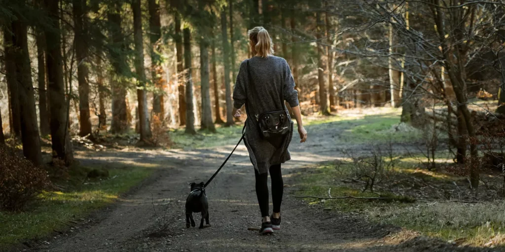Is It Possible to Meditate While Walking?